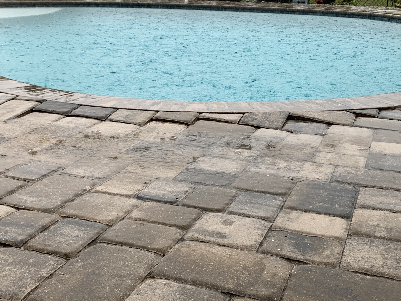 Custom Pools of Naples pool project