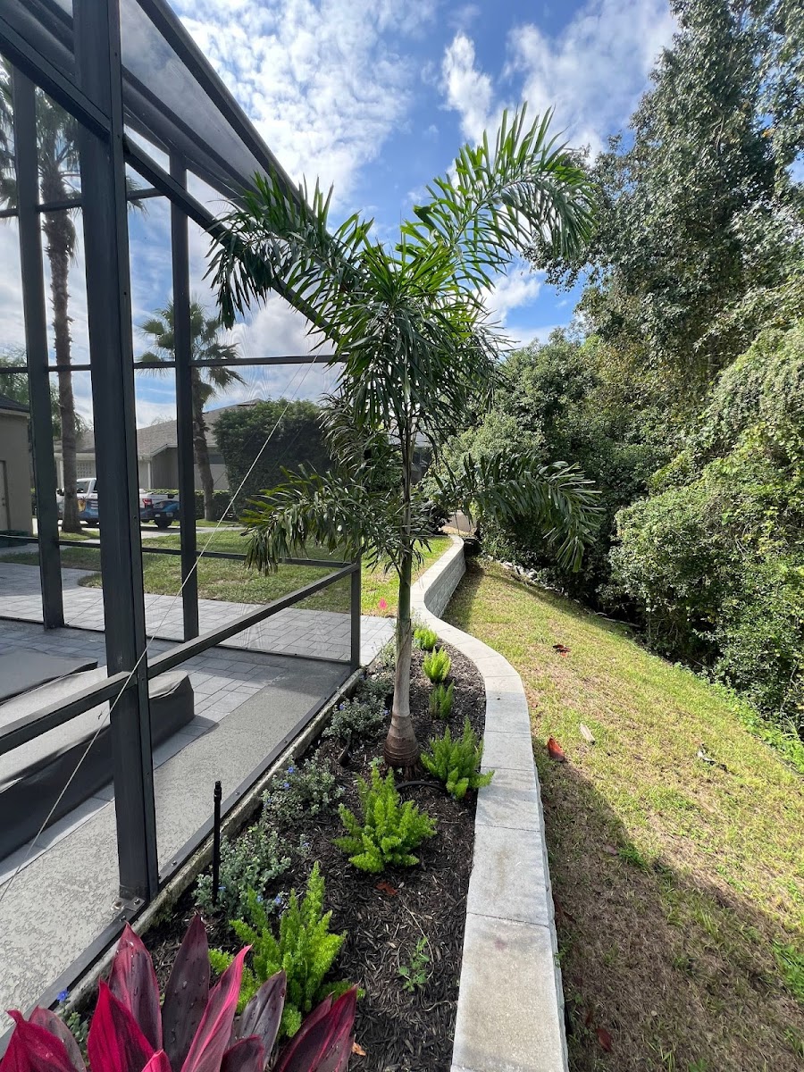 Pinnacle Pools & Spas of Orlando