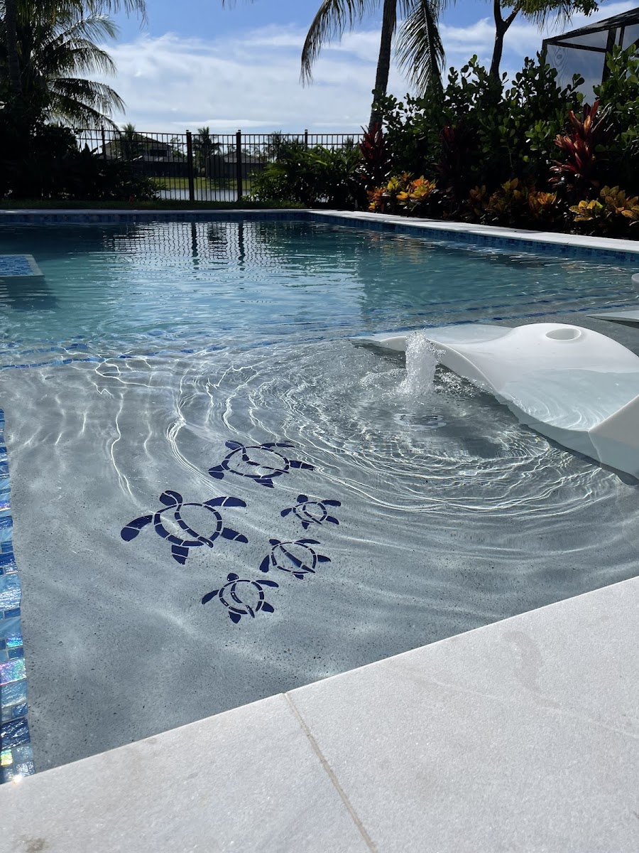 Pool & Patio Works LLC pool project
