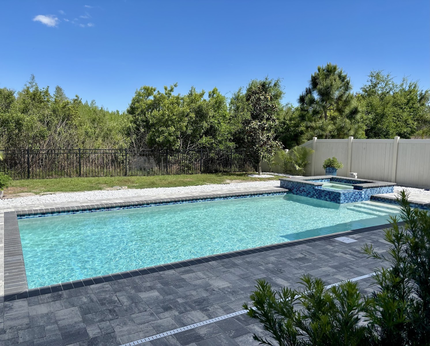 Water Pools Tampa LLC pool project