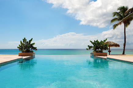 Unique Pools & Designs, Inc pool project
