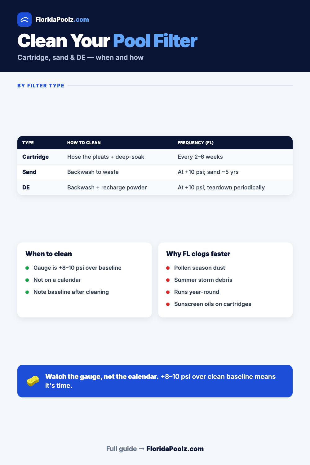 How to Clean a Pool Filter (Cartridge, Sand & DE) infographic