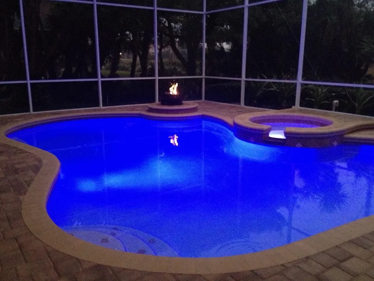 Next Level Pools and Spas, LLC pool project