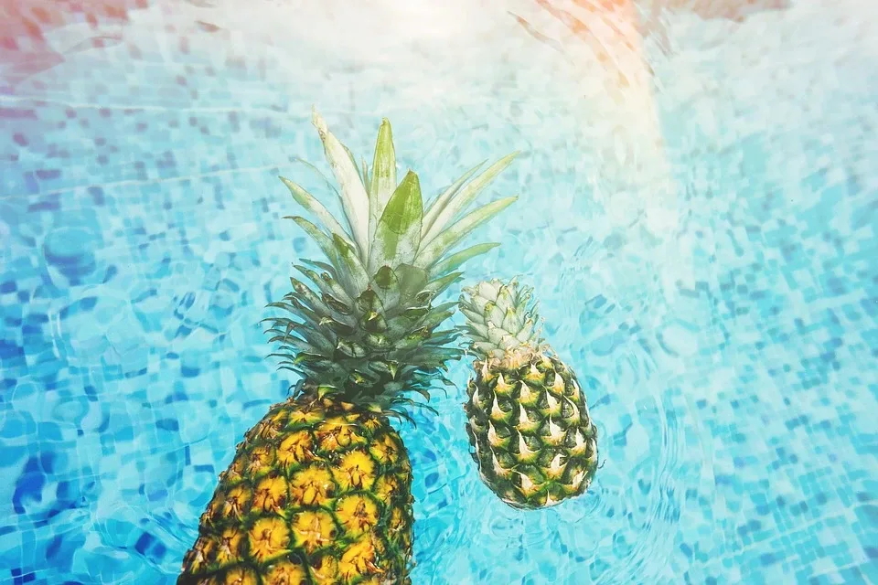 Pineapple Pools of Florida pool project