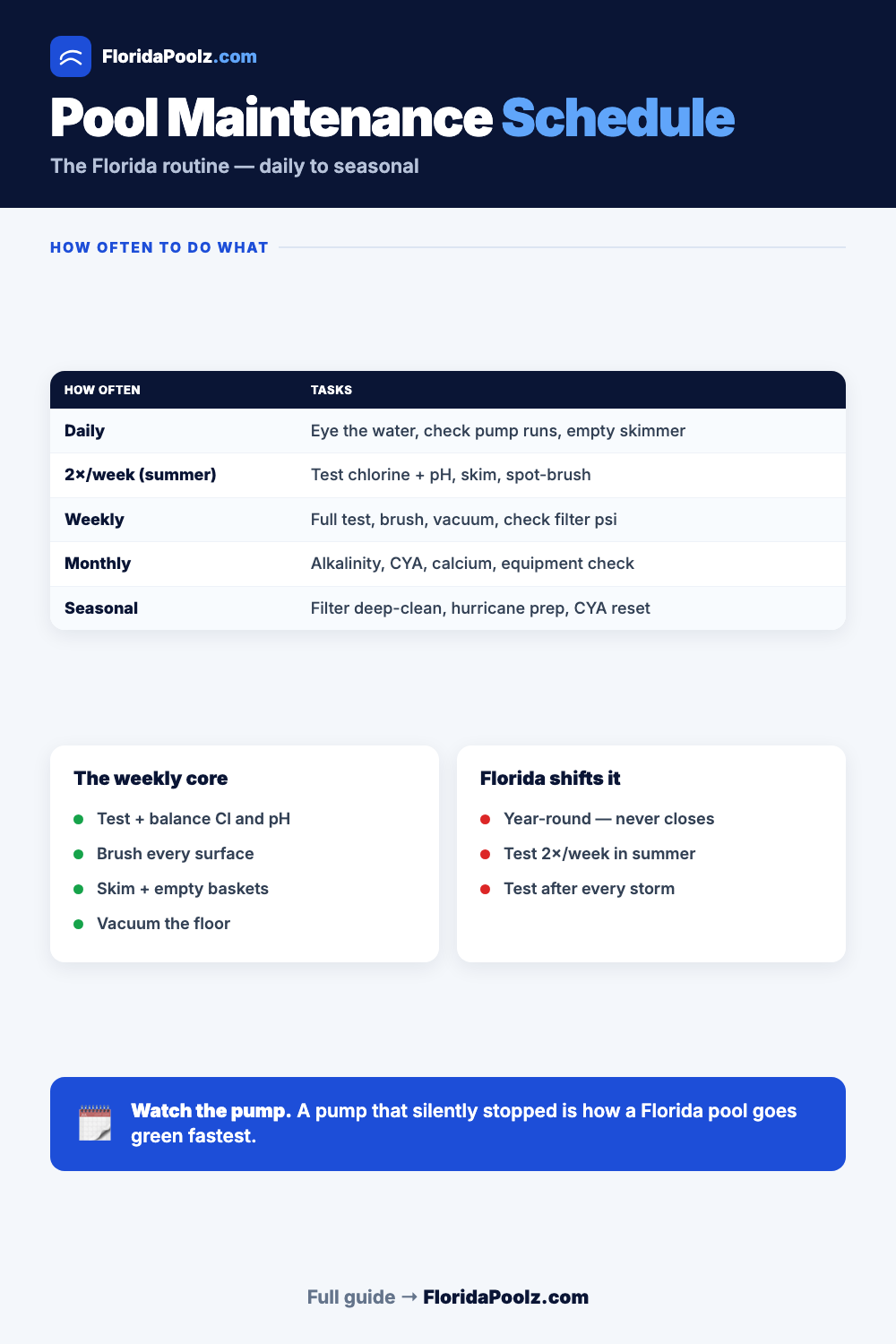 The Pool Maintenance Schedule That Fits Florida infographic