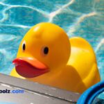 Pool service cost in Florida