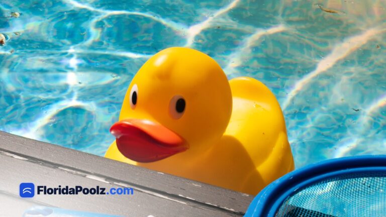 Pool service cost in Florida