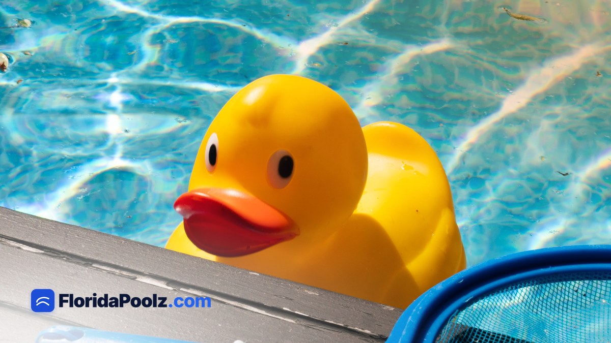 Pool Service Cost in Florida (What Monthly Really Buys)