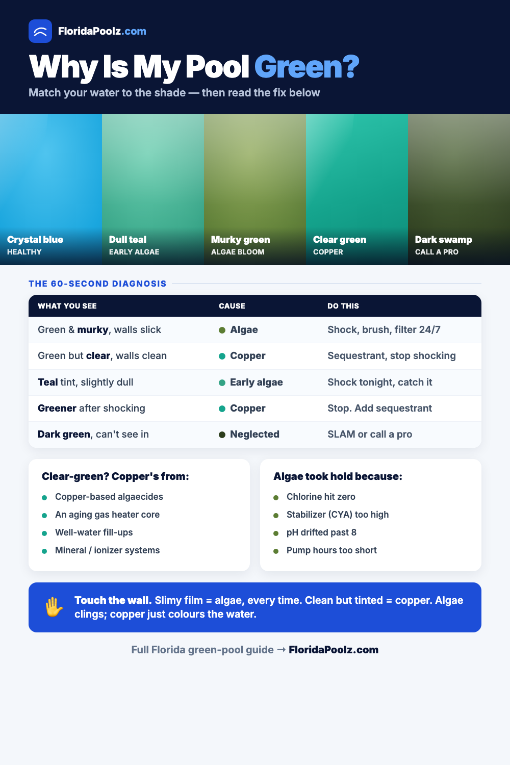 Why is my pool green - Florida pool water color chart