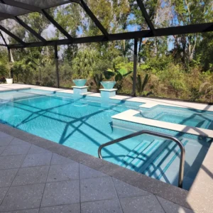 A screened rectangular pool with an attached spa and two decorative water bowls set against a wooded backdrop.