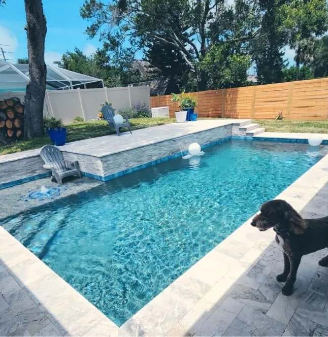 A dog stands beside a rectangular backyard pool with a raised paved tanning shelf and travertine decking.