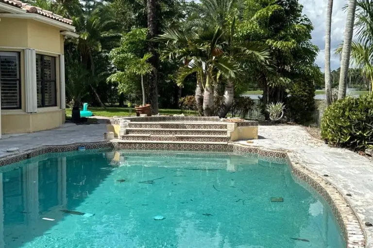 A freeform backyard pool with a tiled raised platform and steps, surrounded by palm trees near a lake.