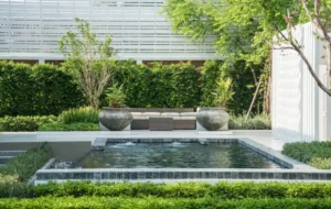A small rectangular plunge pool with a raised spillway edge, surrounded by manicured hedges and large ceramic planters.