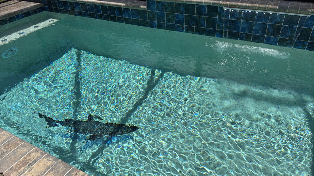 A shaded pool corner with a blue mosaic wall, small waterfall, and a shark pool toy underwater.