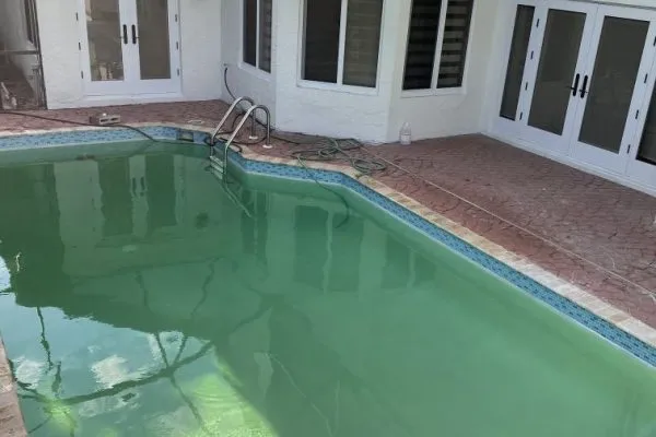 A murky green, algae-filled pool with a freeform shape behind a house with a stamped concrete patio.