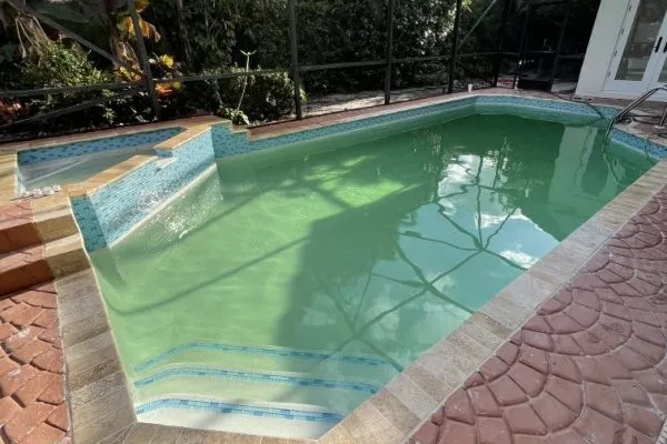 A rectangular pool with cloudy green water under a screened enclosure, surrounded by stamped concrete decking.