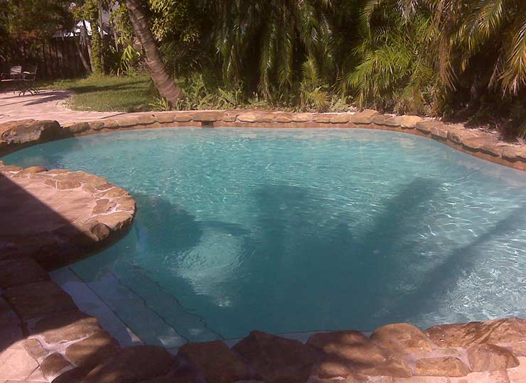 A freeform pool with natural stone coping surrounded by palm trees and tropical landscaping.