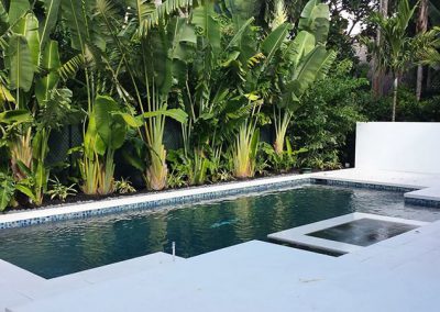 Clear Image Pools, LLC.