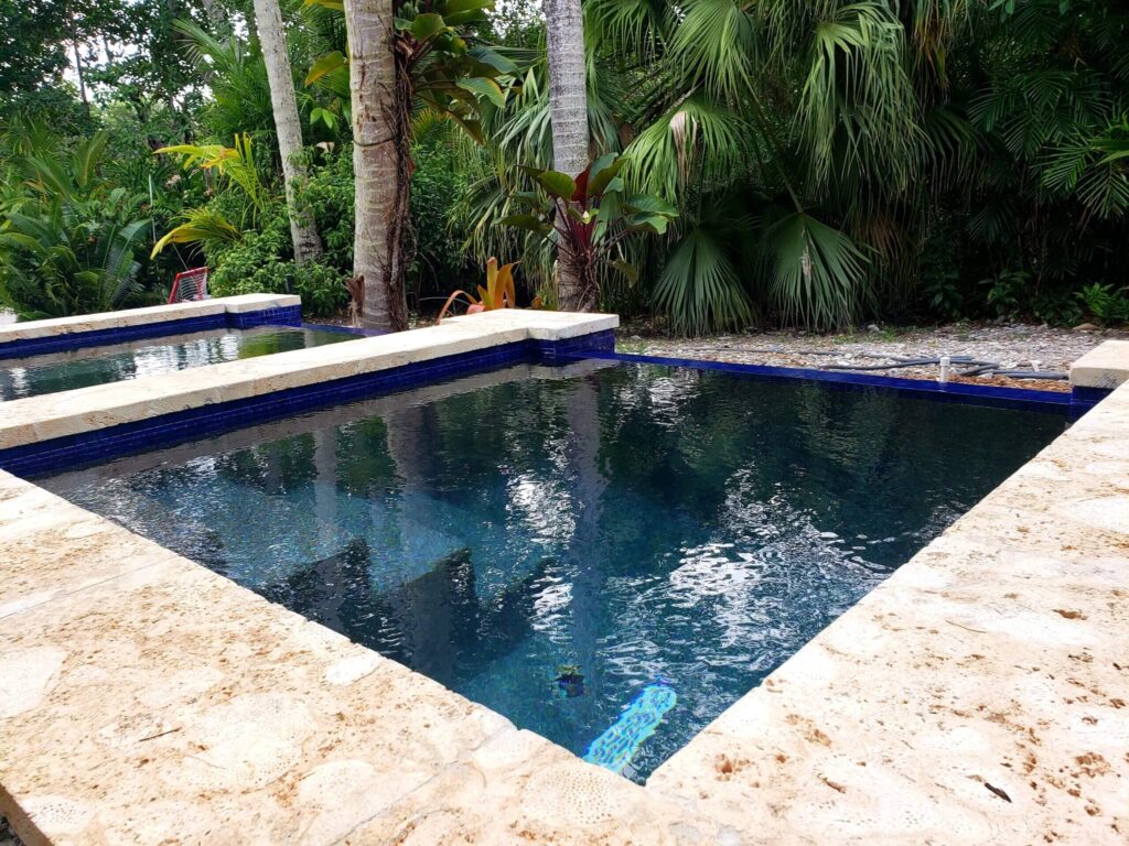 A rectangular pool with dark water, blue tile waterline, and travertine coping surrounded by tropical palm trees.
