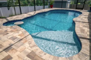 A freeform pool with a paver deck and shallow tanning ledge inside a screened lanai.