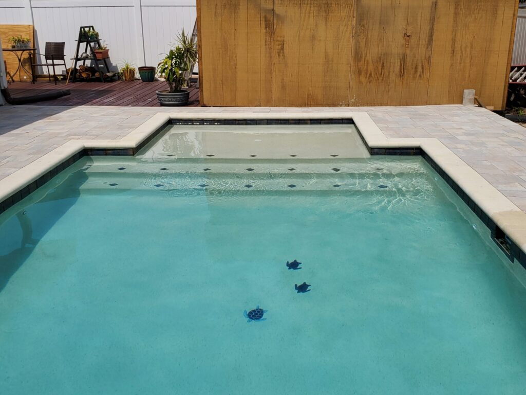 A small rectangular pool with a raised sun shelf and turtle tile accents, framed by a paver patio and wooden privacy wall.