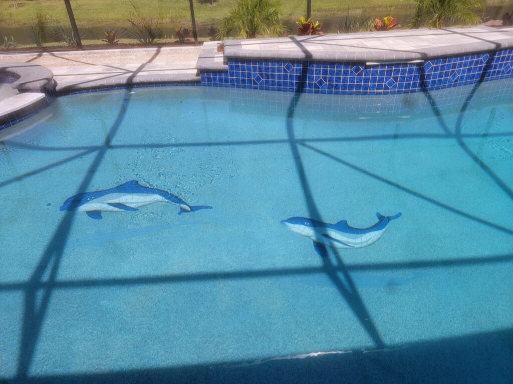 Pool interior with two dolphin mosaic tile designs on the floor, seen through screen enclosure shadows.