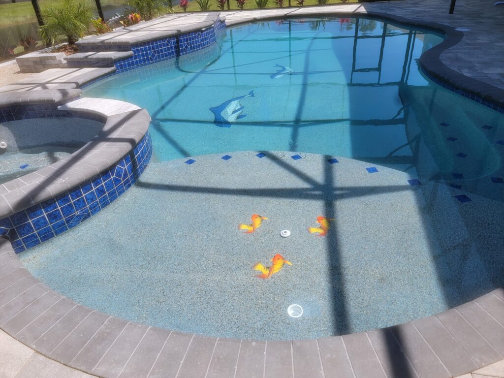 A freeform pool with a raised spa, blue glass tile accents, and a sun shelf decorated with fish inlays under a screened lanai.