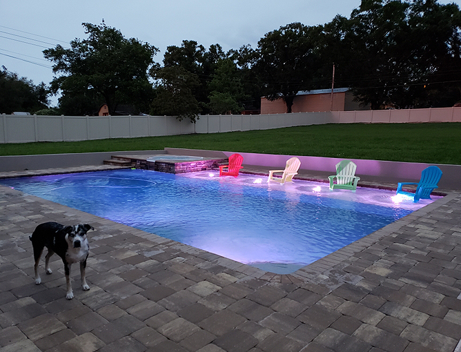 A backyard rectangular pool lit purple at dusk with colorful chairs on a sun shelf and a dog standing on the paver patio.