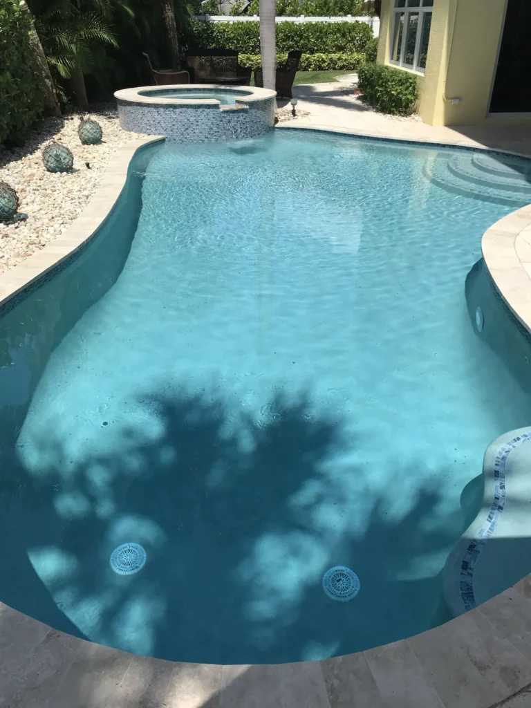 A freeform pool with a raised tiled spa and travertine deck in a landscaped backyard.
