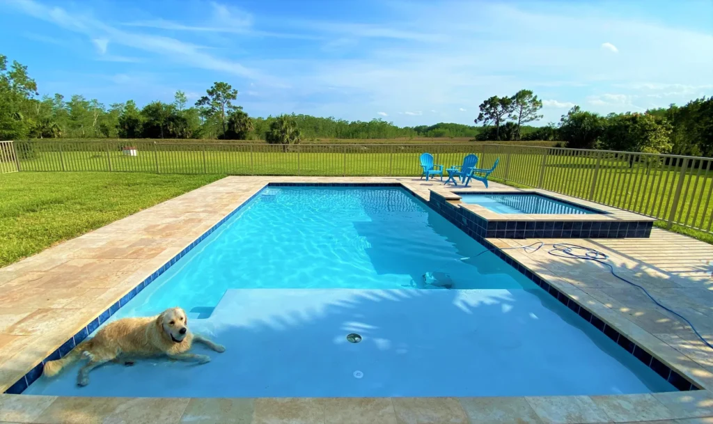 A golden retriever lounges on the sun shelf of a rectangular backyard pool with an attached raised spa.