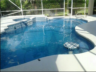 A freeform pool with a tanning ledge inside a screened patio enclosure.