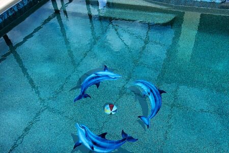 Fantasy Pools