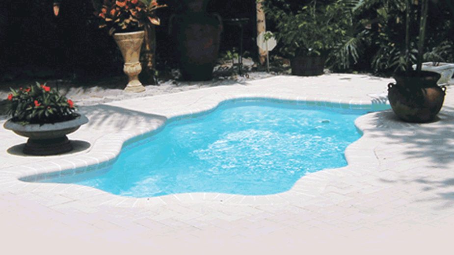 A small freeform pool with turquoise water surrounded by a paver patio and potted plants.