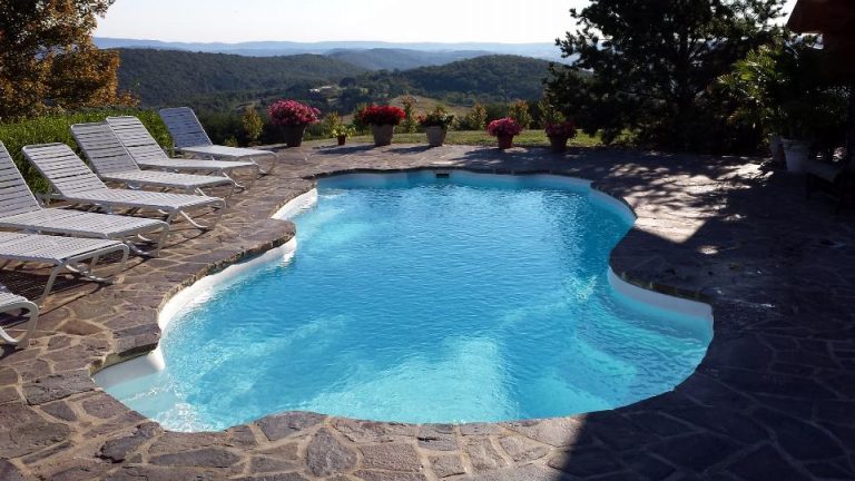 A freeform pool on a stone patio overlooking rolling hills, surrounded by lounge chairs and potted flowers.