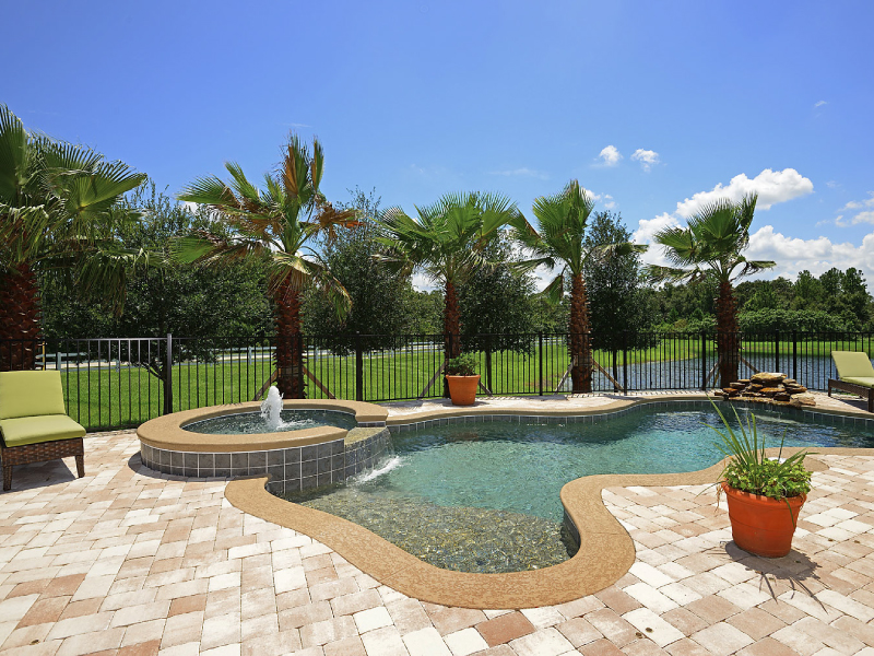 Freeform pool with raised spa and paver deck overlooking a fenced lakeside yard lined with palm trees.