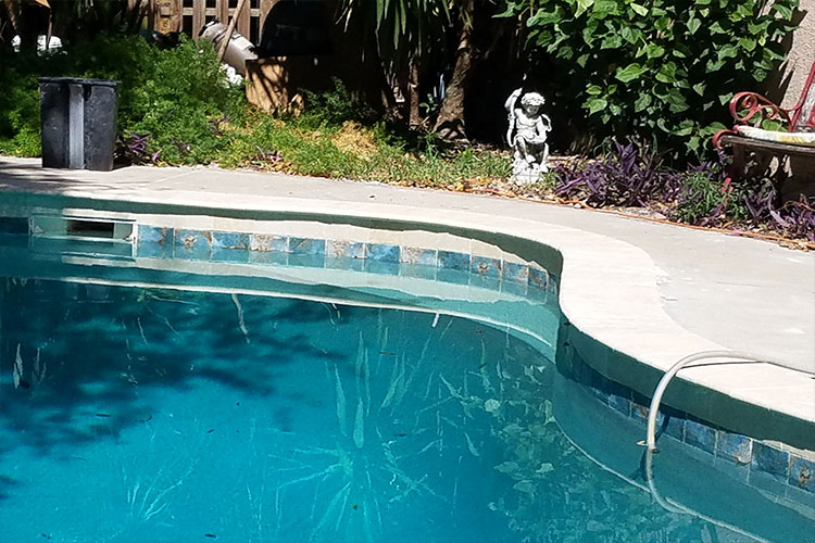 Pools By Stella Inc