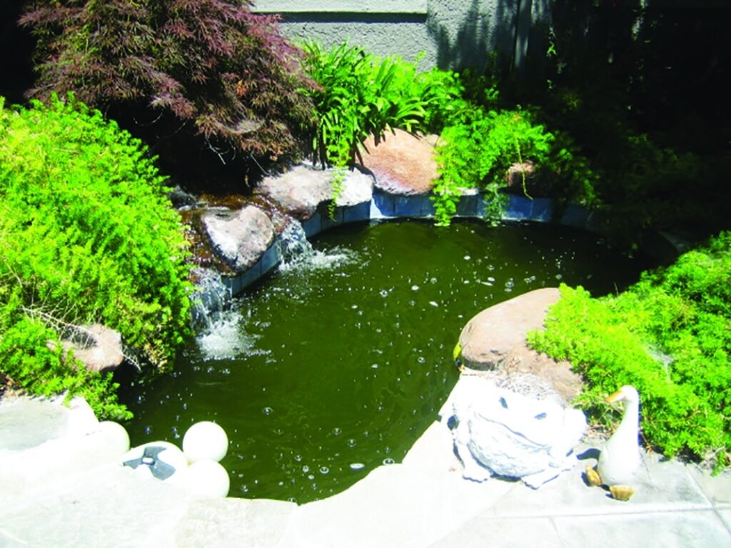 Premier Pools & Spas Brevard County FL
