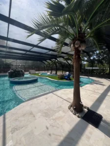 Freeform pool with raised spa and rock waterfall under a screened enclosure, framed by a large decorative palm.
