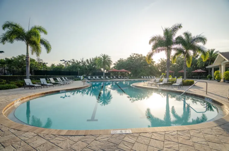 A large freeform resort-style pool surrounded by palm trees, lounge chairs, and a paver deck at dawn or dusk.