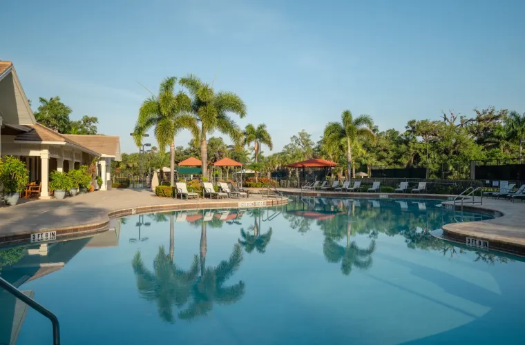 A large freeform resort pool surrounded by palm trees, loungers, and umbrellas under a clear blue sky.