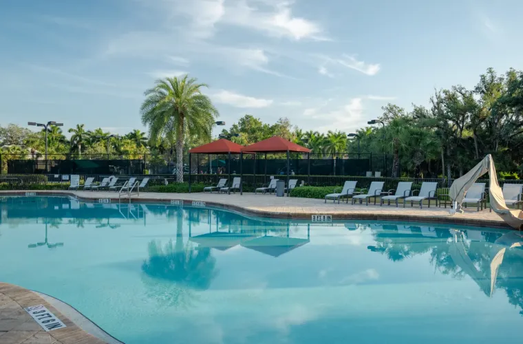 A large freeform resort pool surrounded by loungers, palm trees, and shade canopies.
