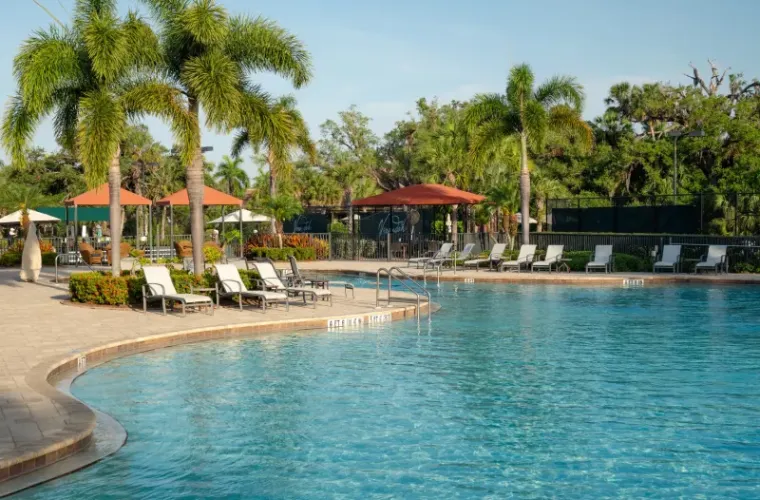 A large curved resort pool lined with lounge chairs, umbrellas, and palm trees under open sky.